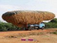 /album/srandovni-a-hloupe-napady/huge-load-of-hay-riesige-ladung-heu-charge-enorme-de-foin-obrovsky-naklad-sena-jpg/